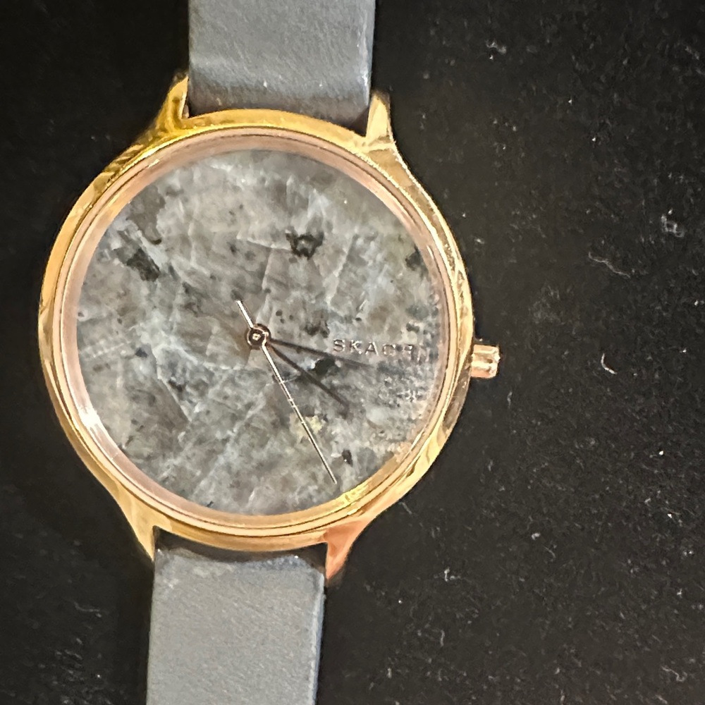 Skagen Gold Case with Gray Strap Watch
